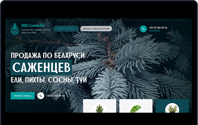 Сайт КФХ  «Голубая ель»